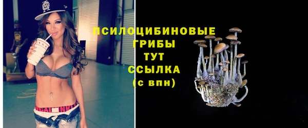 гашиш Новодвинск