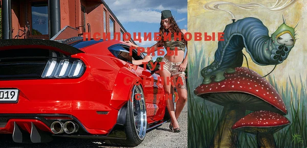 гашиш Новодвинск