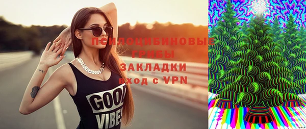 гашиш Новодвинск