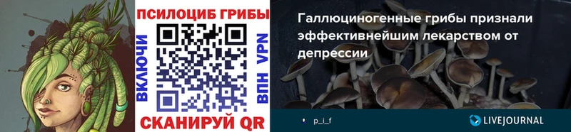 MEGA как зайти  Луза  Галлюциногенные грибы мицелий 