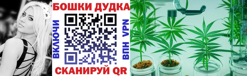 МАРИХУАНА сатива Луза